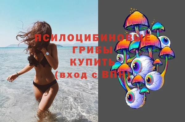 твердый Грязовец