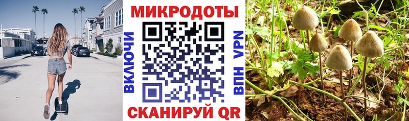 дарнет шоп  маркетплейс телеграм  Галлюциногенные грибы GOLDEN TEACHER  Бодайбо 